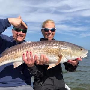 Meet your Posher, Gina